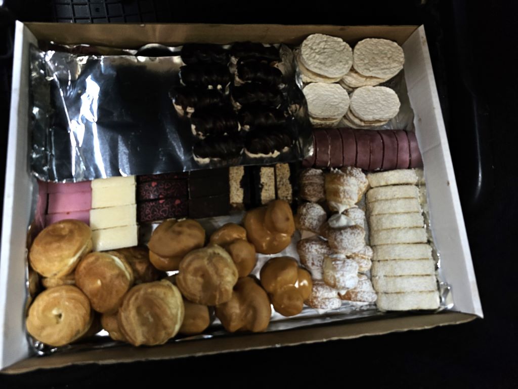 Jana Pitoňáková 1